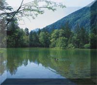 OBERTRAUN am Hallst�ttersee Bild